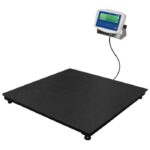 Heavy Duty Weighing Scale Price Philippines