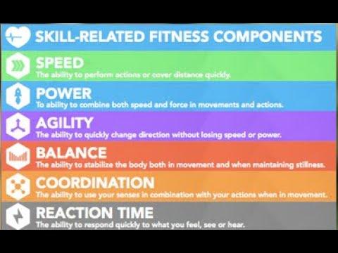skill related fitness components